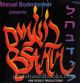 Shmuel Bodenheimer "Lehavdil" [Audio CD]
